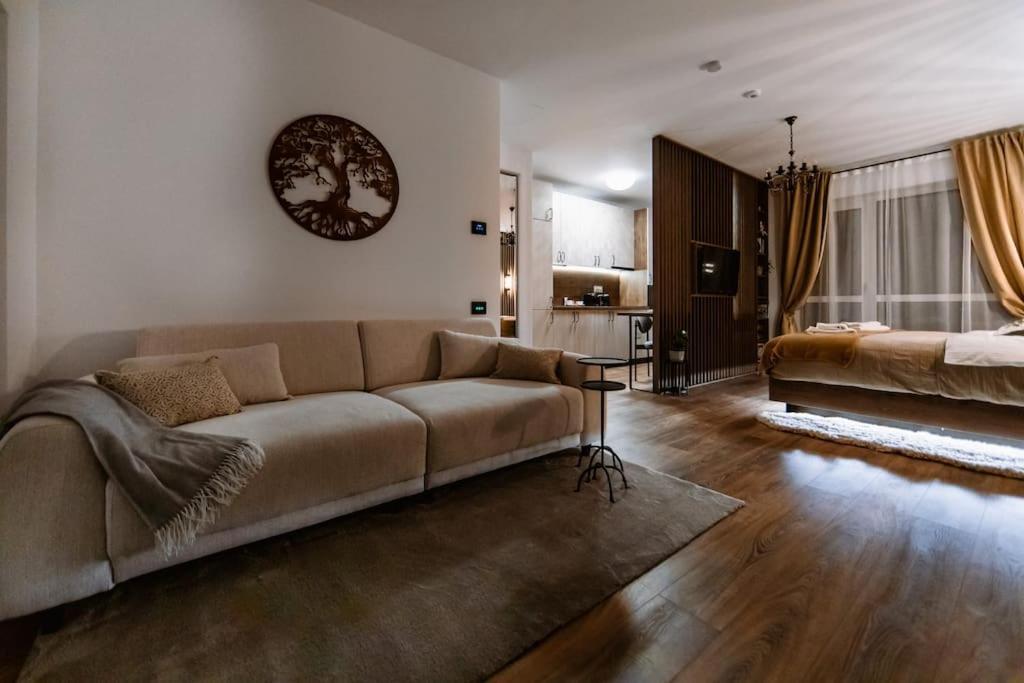 Eliss Studio Sinaia Kültér fotó