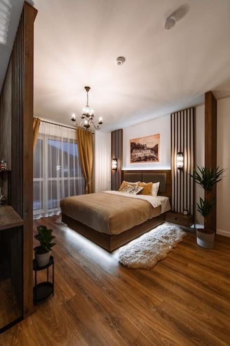 Eliss Studio Sinaia Kültér fotó