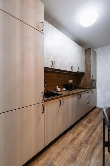 Eliss Studio Sinaia Kültér fotó