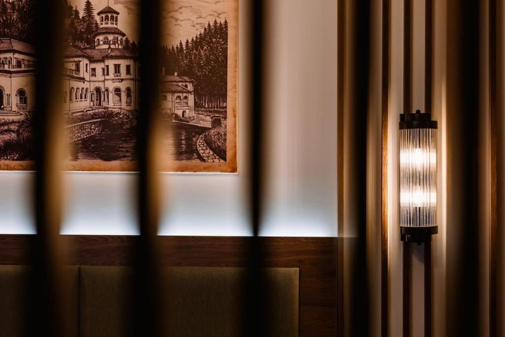 Eliss Studio Sinaia Kültér fotó